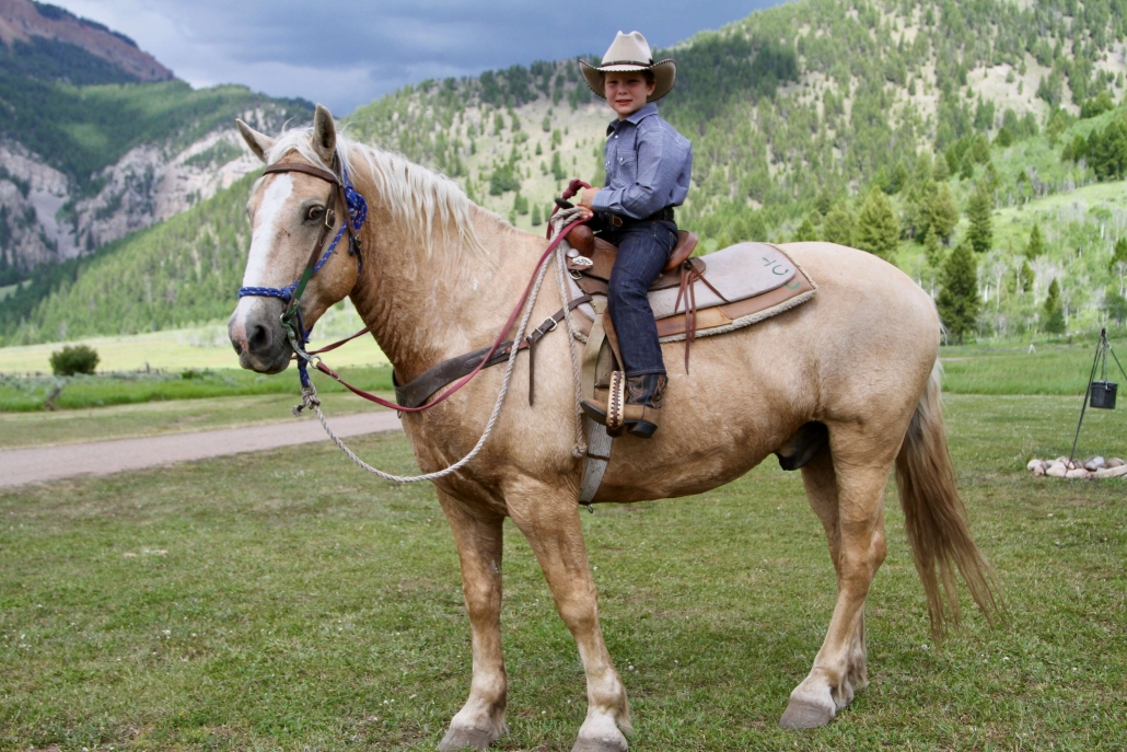 Horseback Riding Jackson Hole Wyoming Willow Creek Horseback Rides