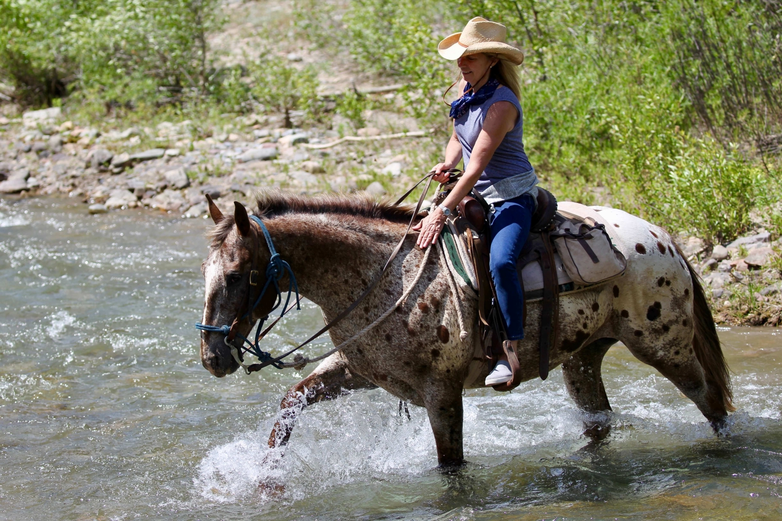 Horseback Riding Jackson Hole Wyoming Willow Creek Horseback Rides