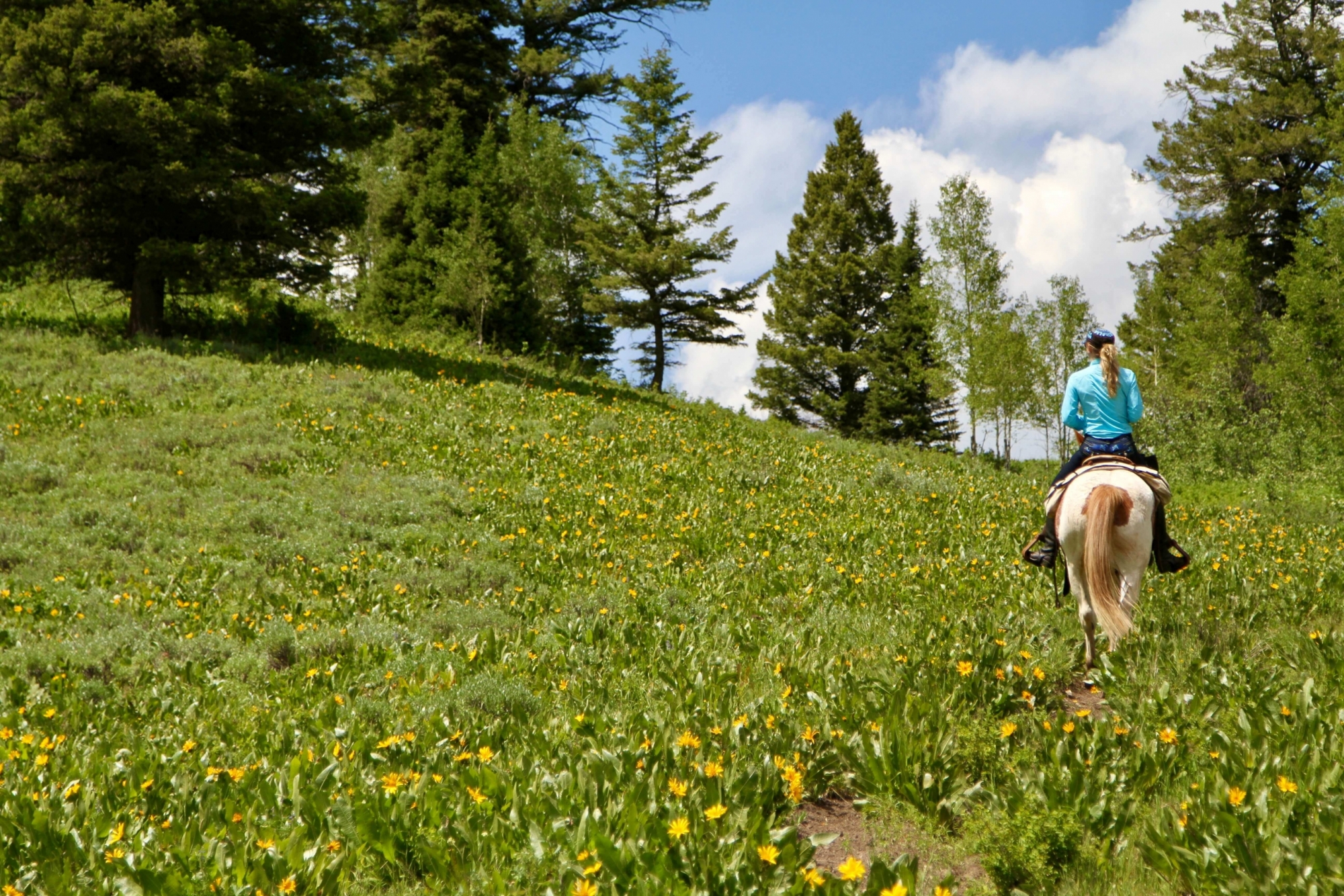 Our Mountain Trail Rides start at the Willow Creek Trailhead located 16 mil...