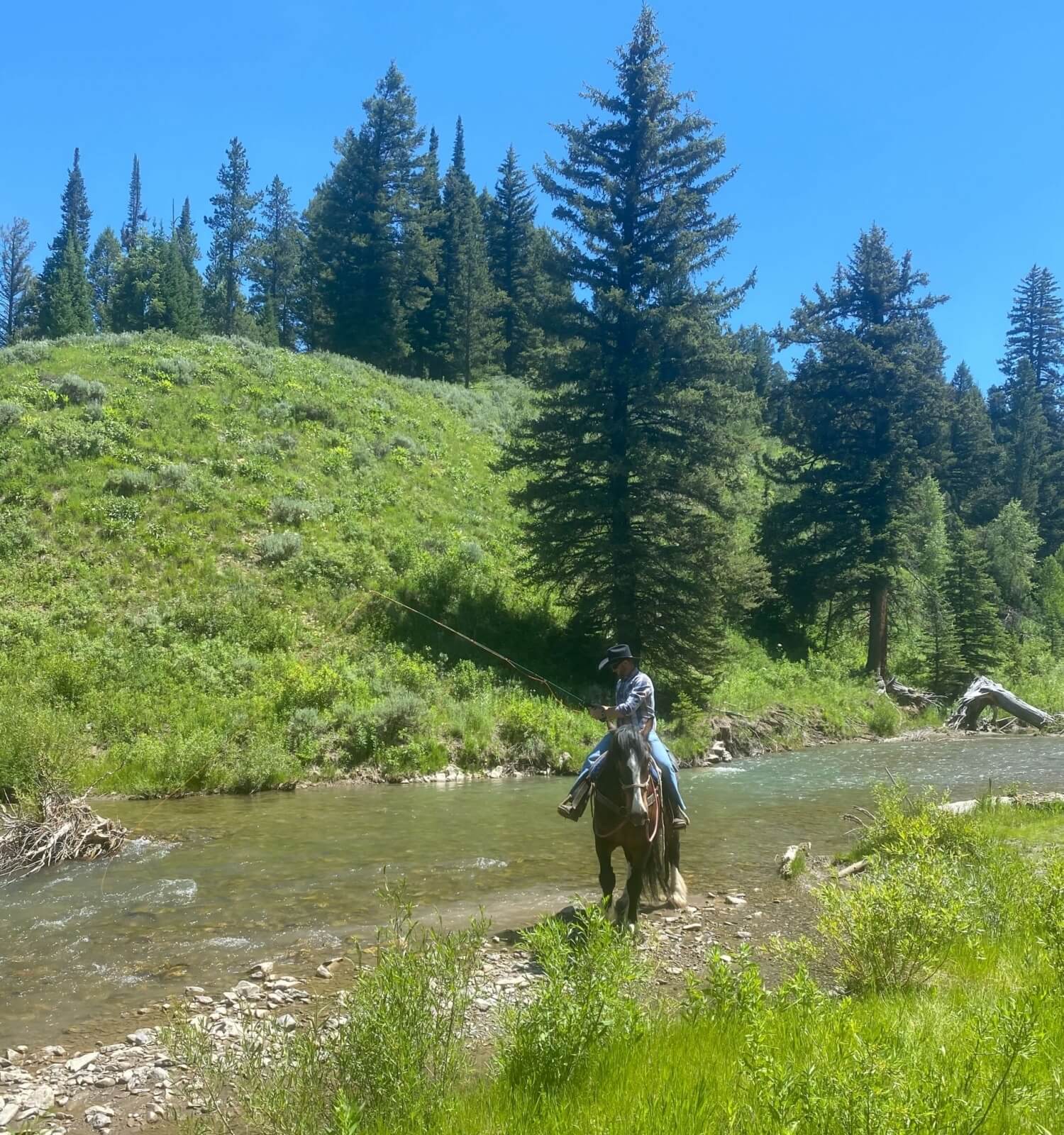 horseback fishing trips