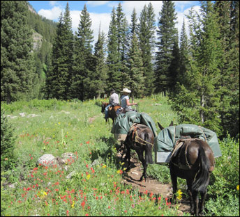 horseback pack trips wyoming